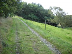 après la prairie.JPG